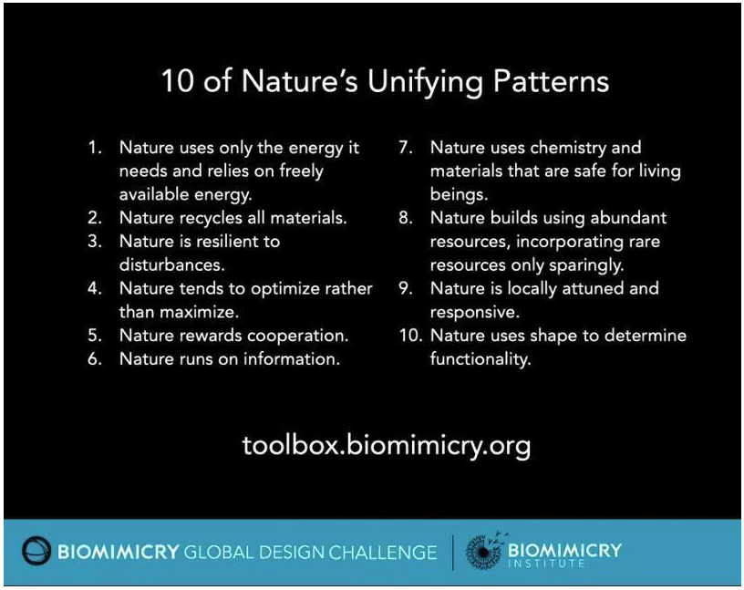 Learning From Nature - The Biomimicry Toolbox